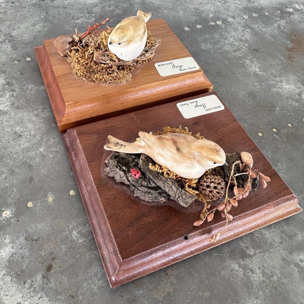 2 Vintage Ceramic Bird on Wood Plaque Inge Waco Texas Folk Art Lady Bug